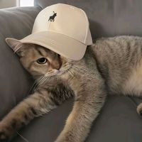mafya_type
