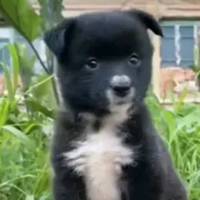 TikTok Account Photo