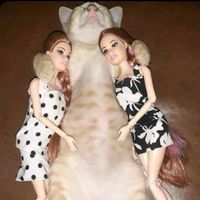 TikTok Account - https://p16-sg.tiktokcdn.com/tos-alisg-avt-0068/6f41498c6800acc29522af61c10a8bdf~tplv-tiktokx-cropcenter:200:200.jpeg