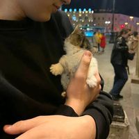 TikTok Account - https://p16-sg.tiktokcdn.com/tos-alisg-avt-0068/6f6e7964874fe09bc8ec98003050612f~tplv-tiktokx-cropcenter:200:200.jpeg