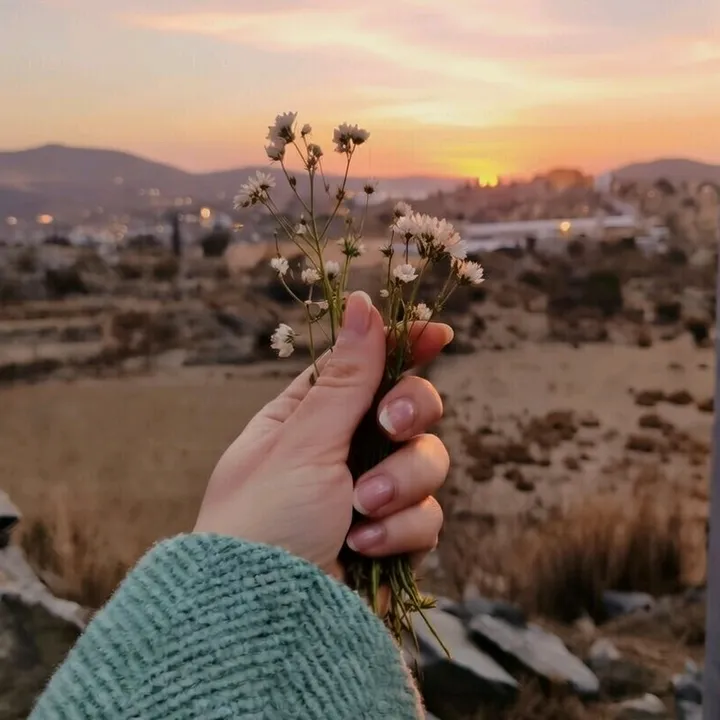 jrebzinsaudi