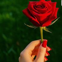 Qalbe mesthta2 cyrax remix قلبي مشتاق