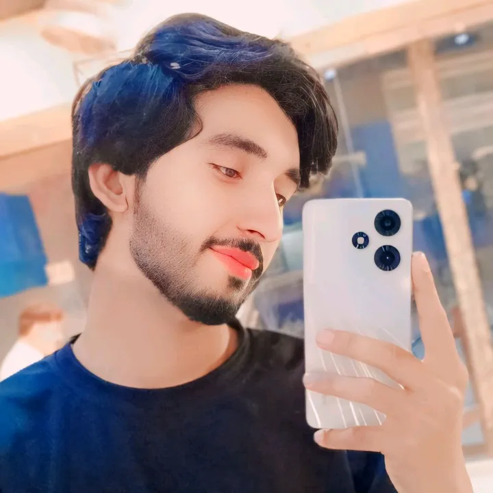 usamarizvi313
