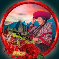 norma0863