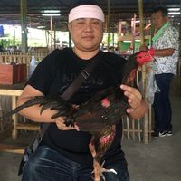 channarong_264