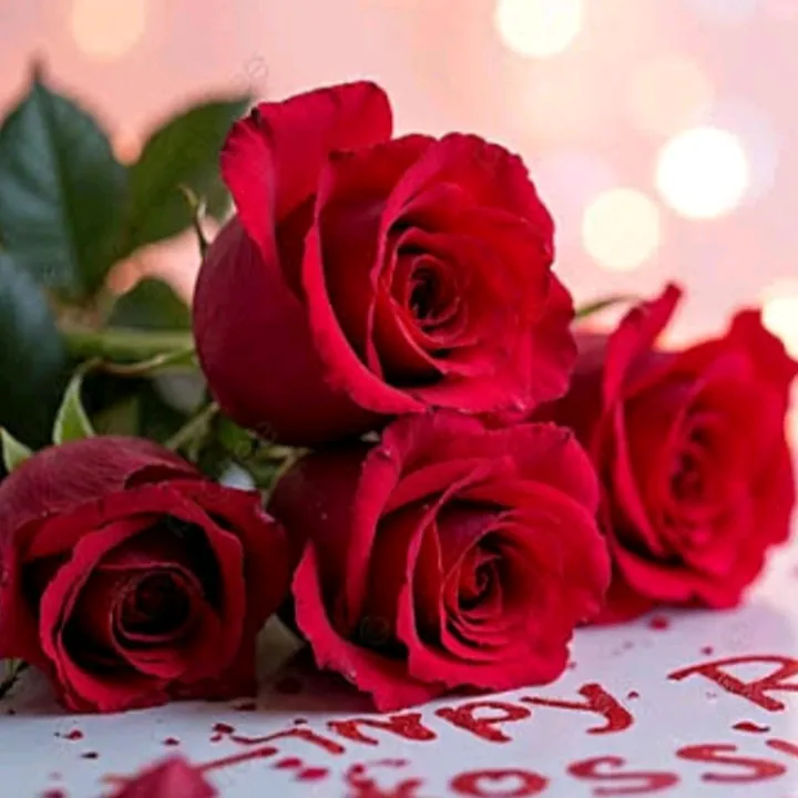 zehra.4527