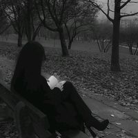 alaa_4242
