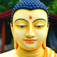 TikTok Account - https://p16-sg.tiktokcdn.com/tos-alisg-avt-0068/7311531155738591240~tplv-tiktokx-cropcenter:200:200.jpeg