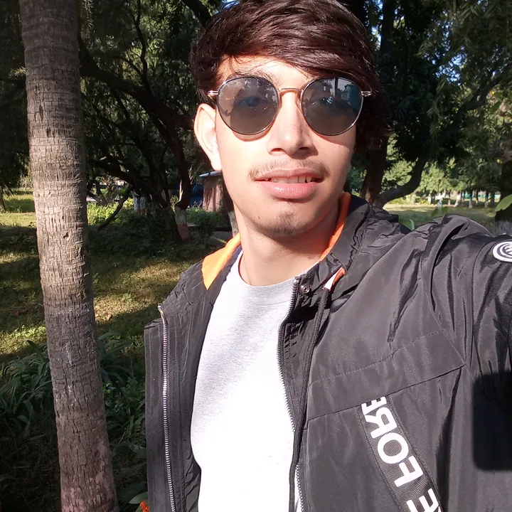 dineshjoshi207