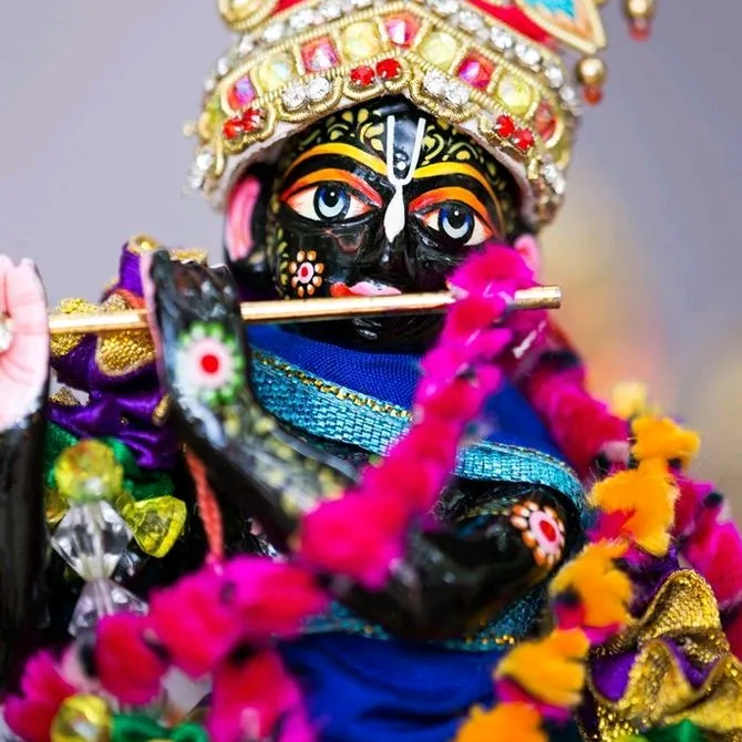 vaishalirohila96