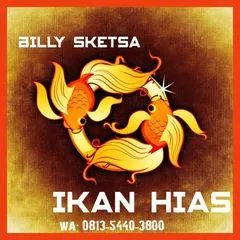 billysketsa_ikanhias