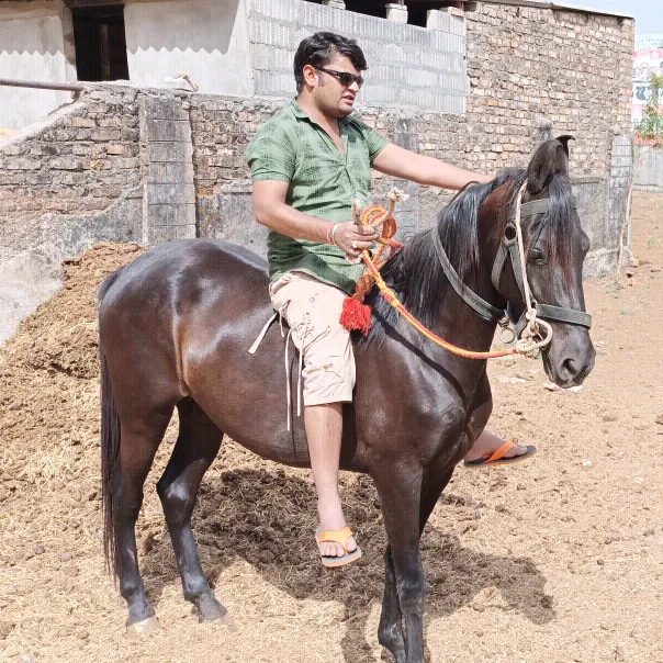 natwarsingh66