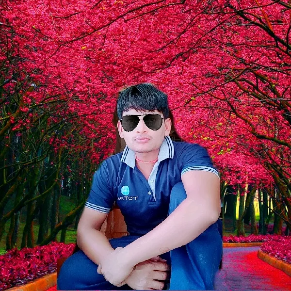 sachinverma055