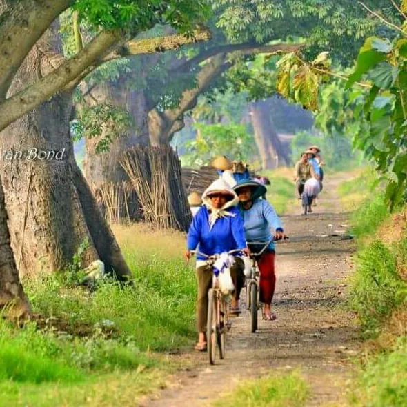 mashenbike