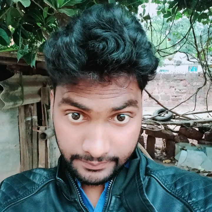 pabitra421