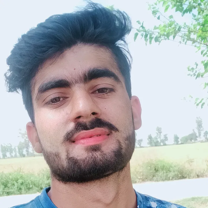 chotusehrawat