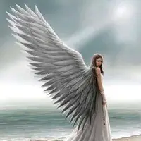 TikTok Account - https://p16-sg.tiktokcdn.com/tos-alisg-avt-0068/7329062851799154709~tplv-tiktokx-cropcenter-q:200:200:q70.webp