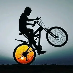 vishu_the_rider