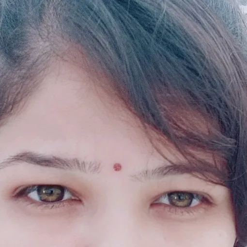 tulsimer