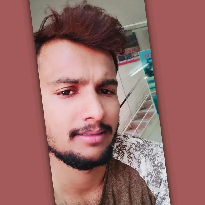 rohitbingle