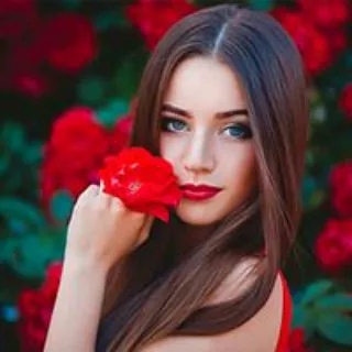 zalima_writex_