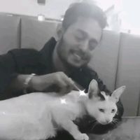 TikTok Account - https://p16-sg.tiktokcdn.com/tos-alisg-avt-0068/7380004496262463489~tplv-tiktokx-cropcenter:200:200.jpeg