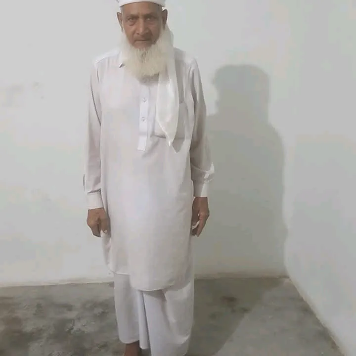 ansercheema4