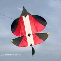 shooq_patang_bazi_da1