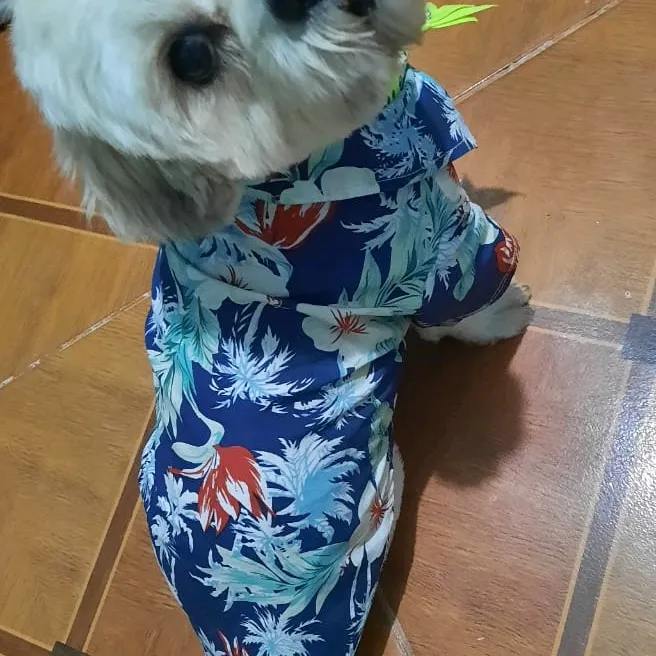 para.que.veas