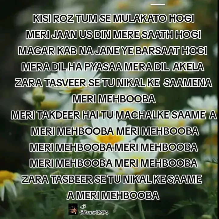 zaniabkhan52