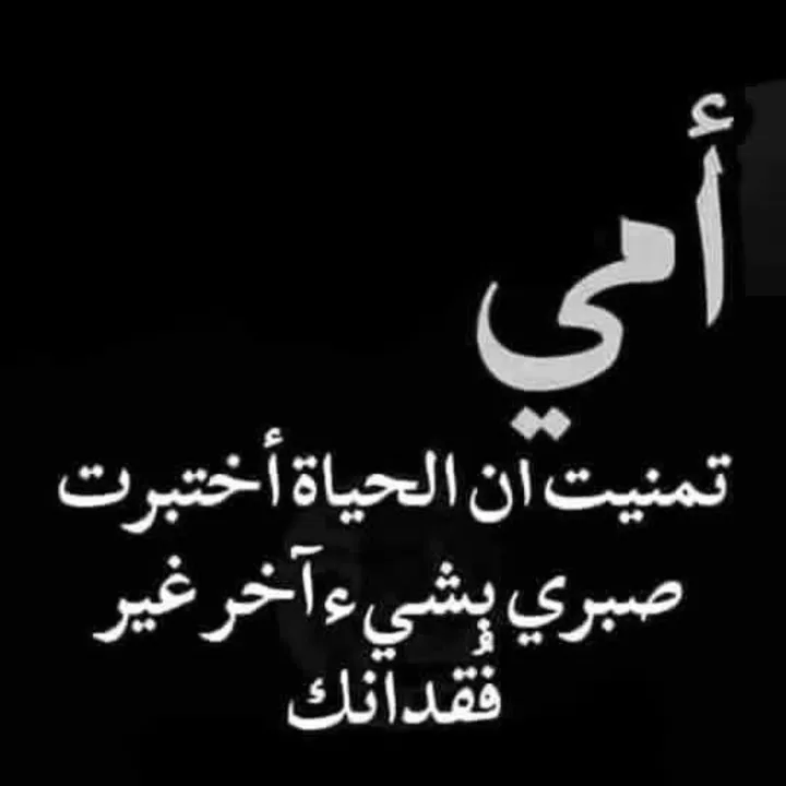 chef_imed