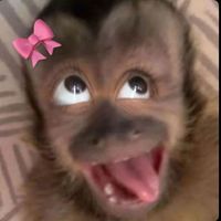 TikTok Sound - original sound - alebrice198