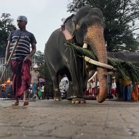 TikTok Account - https://p16-sg.tiktokcdn.com/tos-alisg-avt-0068/75ee7e3a818e13459fdad00c599b94af~tplv-tiktokx-cropcenter:200:200.jpeg