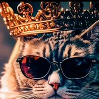 TikTok Account - https://p16-sg.tiktokcdn.com/tos-alisg-avt-0068/763215643df02ff0cdb163f2c7ea0f7e~tplv-tiktokx-cropcenter:200:200.jpeg