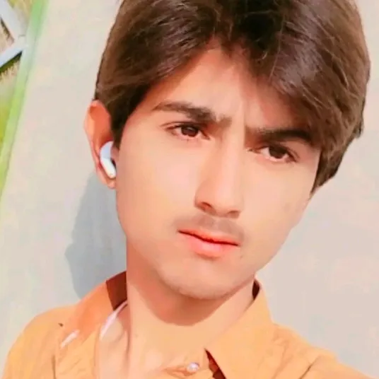 @malik.meharban4170