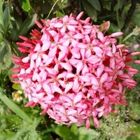 TikTok Account - https://p16-sg.tiktokcdn.com/tos-alisg-avt-0068/766a8d8ea5cb480dda9853eb0834681d~tplv-tiktokx-cropcenter:200:200.jpeg