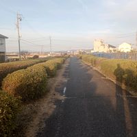 TikTok Account - https://p16-sg.tiktokcdn.com/tos-alisg-avt-0068/785b2079798a3f730b7e798fdfd4d3d3~tplv-tiktokx-cropcenter:200:200.jpeg