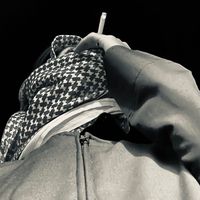 الصوت الأصلي