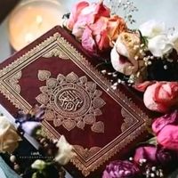 TikTok Account - https://p16-sg.tiktokcdn.com/tos-alisg-avt-0068/7a407767cf62ca1dc0472ccb674dc9d7~tplv-tiktokx-cropcenter:200:200.jpeg