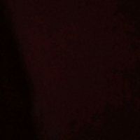 TikTok Account - https://p16-sg.tiktokcdn.com/tos-alisg-avt-0068/7b983469f4b6c072db82da96b7818a5f~tplv-tiktokx-cropcenter:200:200.jpeg