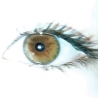 lyuba_339