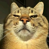 original sound - byuazhariiii_