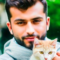 ali.is..here