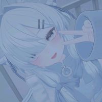 ako_07n