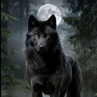 original sound - Sultan 963