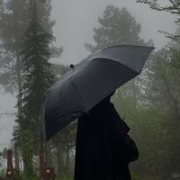 آية عن المطر