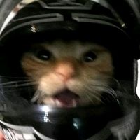 TikTok Account - https://p16-sg.tiktokcdn.com/tos-alisg-avt-0068/7e94177a480019d3148add2499f7ed81~tplv-tiktokx-cropcenter:200:200.jpeg