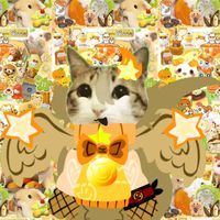 meowlcat_1123