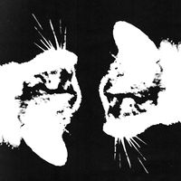 Sound image