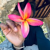 TikTok Account - https://p16-sg.tiktokcdn.com/tos-alisg-avt-0068/80910aee2feba9deefbf655211b46554~tplv-tiktokx-cropcenter:200:200.jpeg